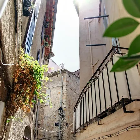 Cote Safranier Appartement