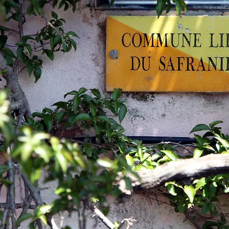 Cote Safranier