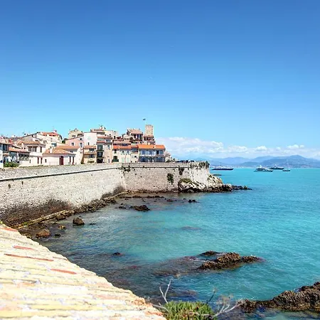 Cote Safranier Antibes